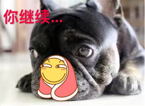 说说我对爱的浅见