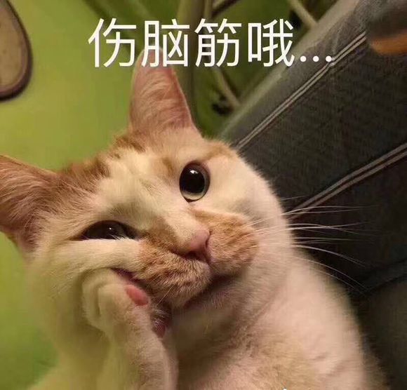 有一天，看着自己心爱的老婆跟男小三结婚是一种什么感觉（正式结