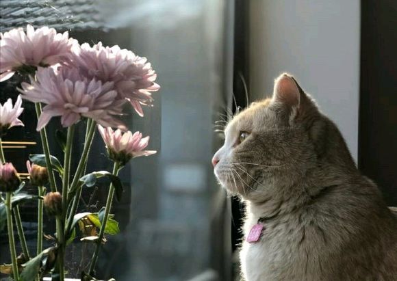 我是不是傻，花三四百买毛线织毛衣，付完款才发现三四百都能买一