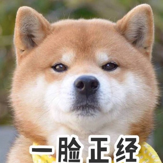 双十一，你消费多少？我是抓紧钱包，一分不花。俺老婆却不一样，