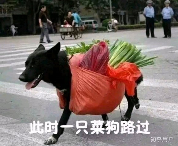 孩子把零用钱给了老师，作为穷人，我决定明天要回来
