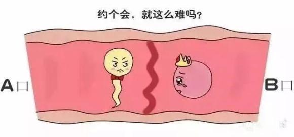 输卵管堵塞要吃什么食物