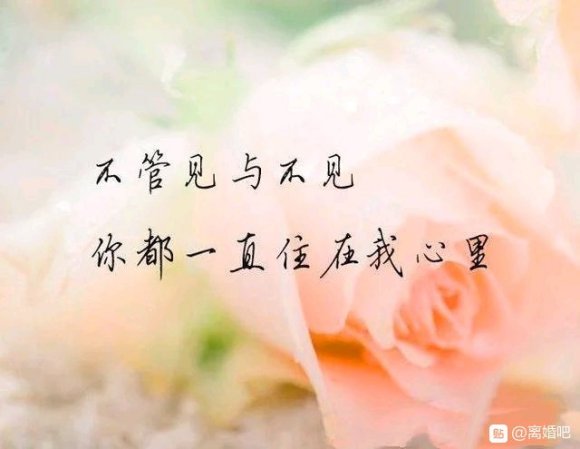 天天失眠，无药可治了。