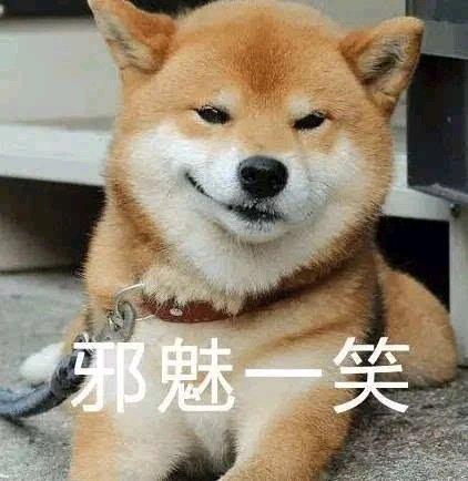 一不小心就13级了请问可以发女票了吗