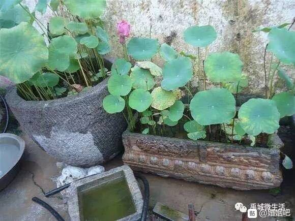 人生无常，永远不知道幸福和意外哪个先来……