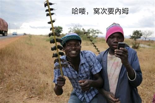 睡觉咯，再不睡就变得小毒臭臭一样，成了这吧里的整天胡言乱哭，