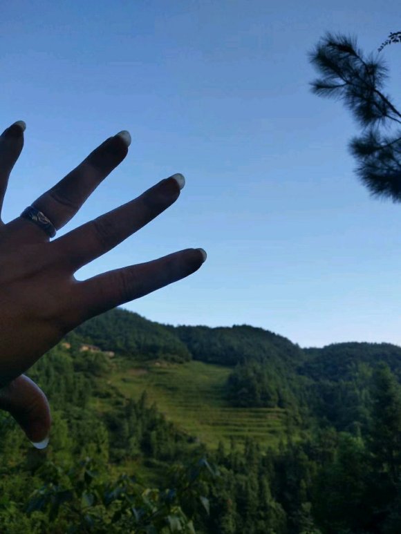 《当时光已逝》作者：泰戈尔假如时光已逝，鸟儿不再歌唱，风儿也