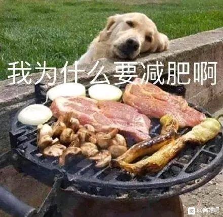 都别拦我，我要吃早饭了