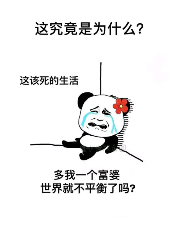 一夜的惊喜