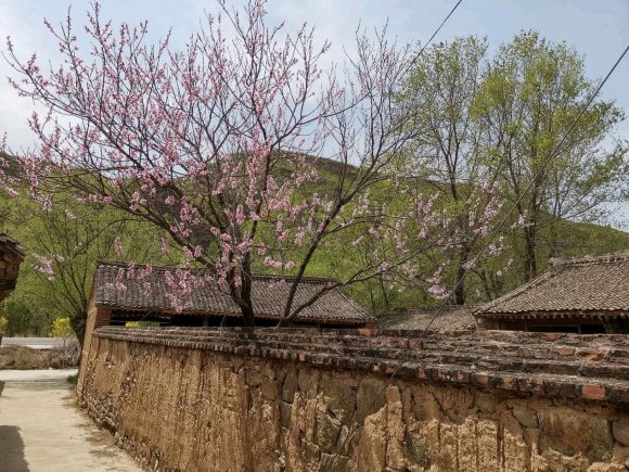 征婚，老家河北农村有房，300平大院子。对女方没啥要求，下雨