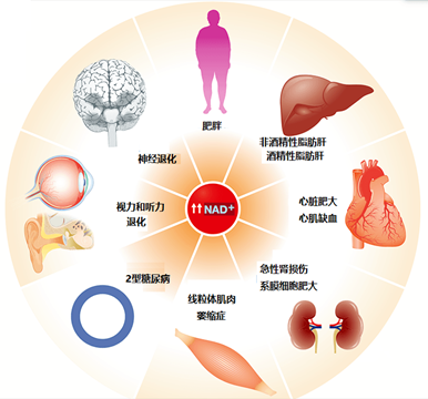 快看：备孕做什么检查，为什么怀不了孕？有备无患！