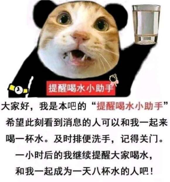 来我大篱笆也有2年了吧，就想感叹一句:你们到底谁了谁呀！天天