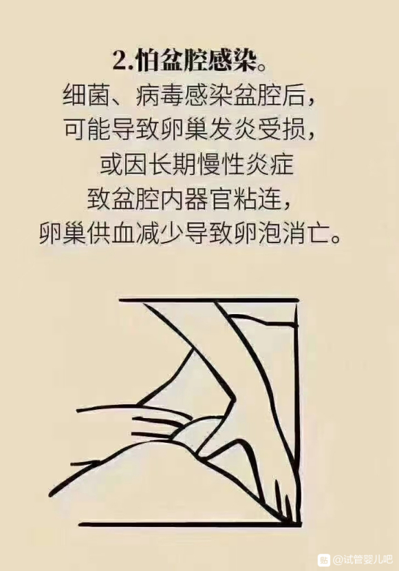 来给你们看组图卵子数量是有限的，和年龄一样，是无法逆转的，所