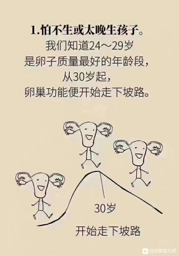来给你们看组图卵子数量是有限的，和年龄一样，是无法逆转的，所