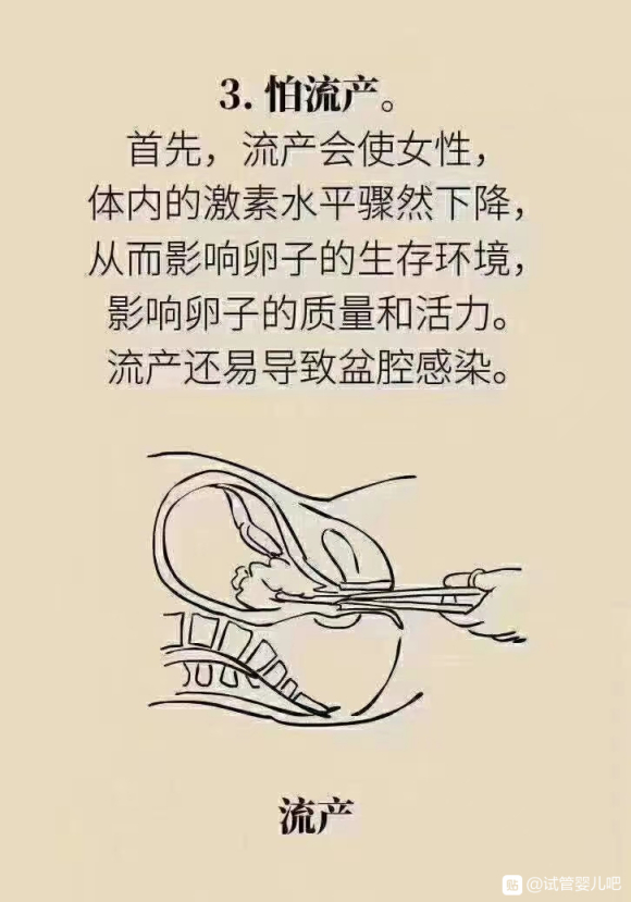 来给你们看组图卵子数量是有限的，和年龄一样，是无法逆转的，所