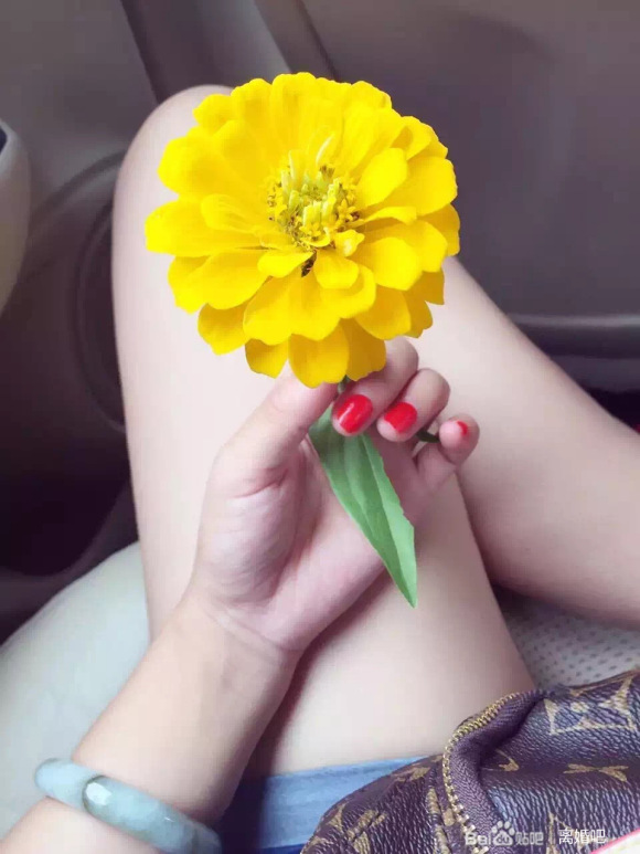 两年多了。已经习惯了没有你的生活，是时候重新开始了。