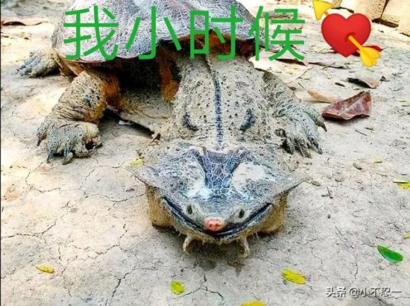哇奥⊙ω⊙我尽力了。。。今天的飞机下班有点早