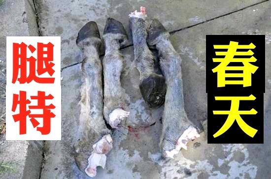 中国人口占世界人口的比例