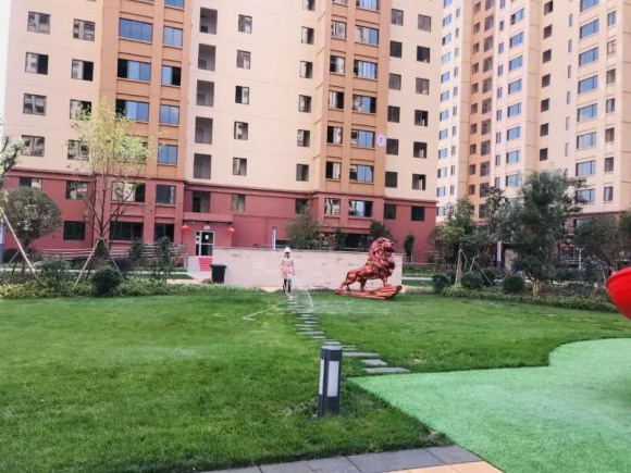 没什么可失去的 好像从来没有真正拥有过