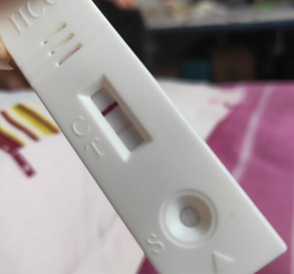 月经过了六天了，二胎来了