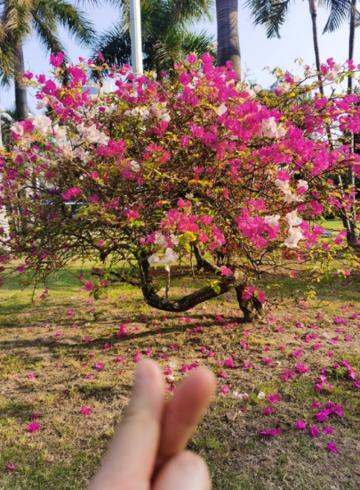89年备孕二胎，也算高龄