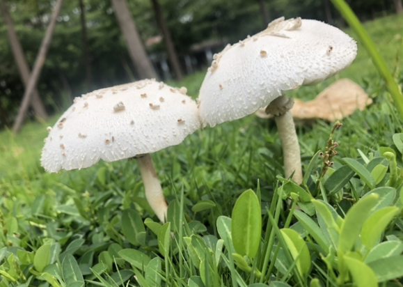 突然觉得生活好难