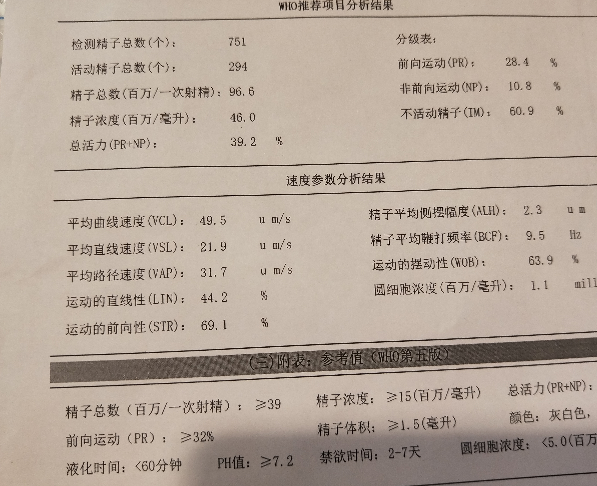 精液分析报告