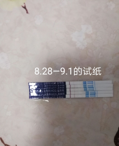 等，二胎来啦~