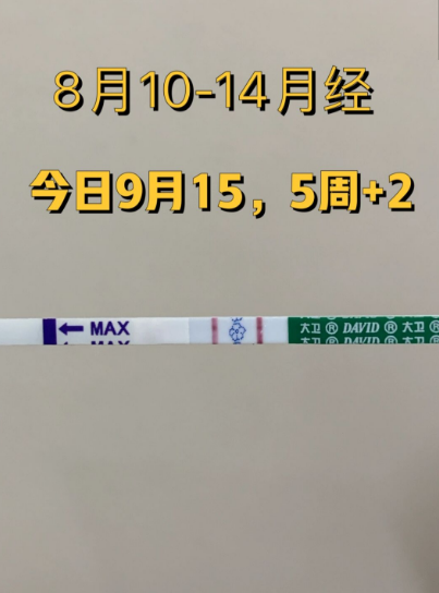 备孕第三个月，二胎小老虎