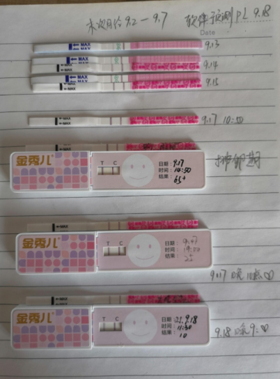 备孕虎宝宝