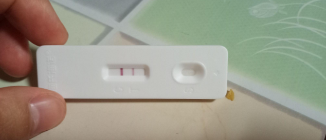 今天是囊胚移植第十天，为什么还不明显呢？