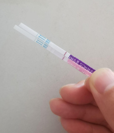 移植的最后一个胚胎，看来是没希望了