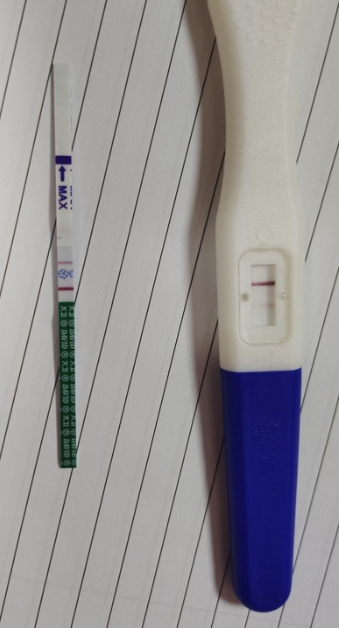 移植两枚冻胚，今天是移植的第九天