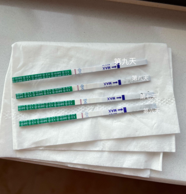 我是23号移植的，前几天一直有姨妈感下腹坠痛的感觉