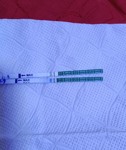 今天移植第九天还不见加深