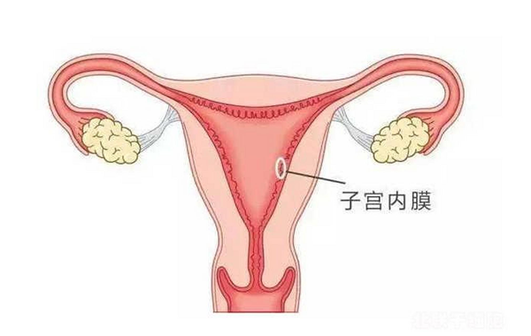 1 (7).png