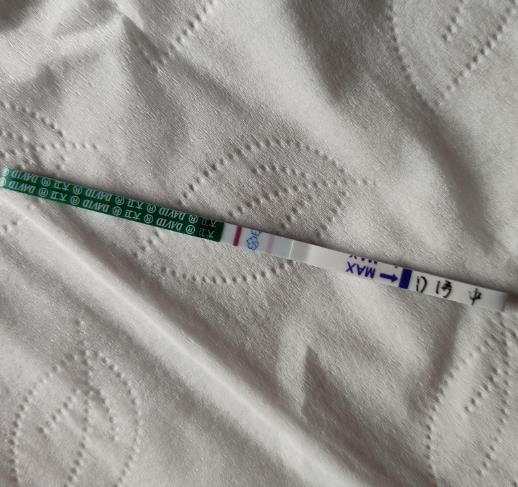 今天中午测的