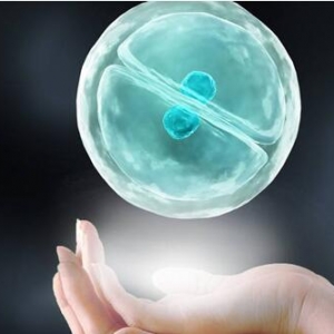试管胚胎移植方法及类型