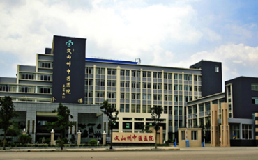 文山中医院